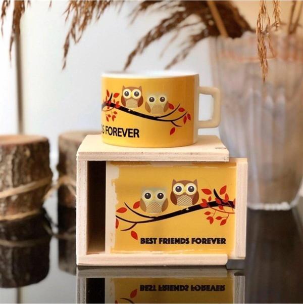 Mobgift Baykuş Best Friend Tasarımlı Kutulu Kupa Sürpriz Hediyeli - Image 1