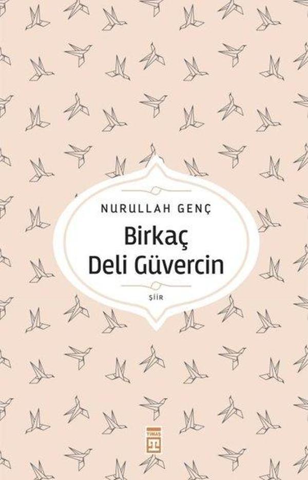 Birkaç Deli Güvercin - Timaş Yayınları - Image 1