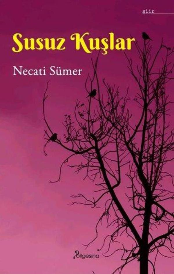 Susuz Kuşlar - Bilgesina Yayınları - Image 1
