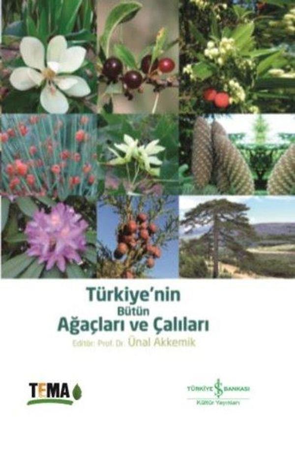 Türkiye'nin Bütün Ağaçları ve Çalıları - İş Bankası Kültür Yayınları - Image 1