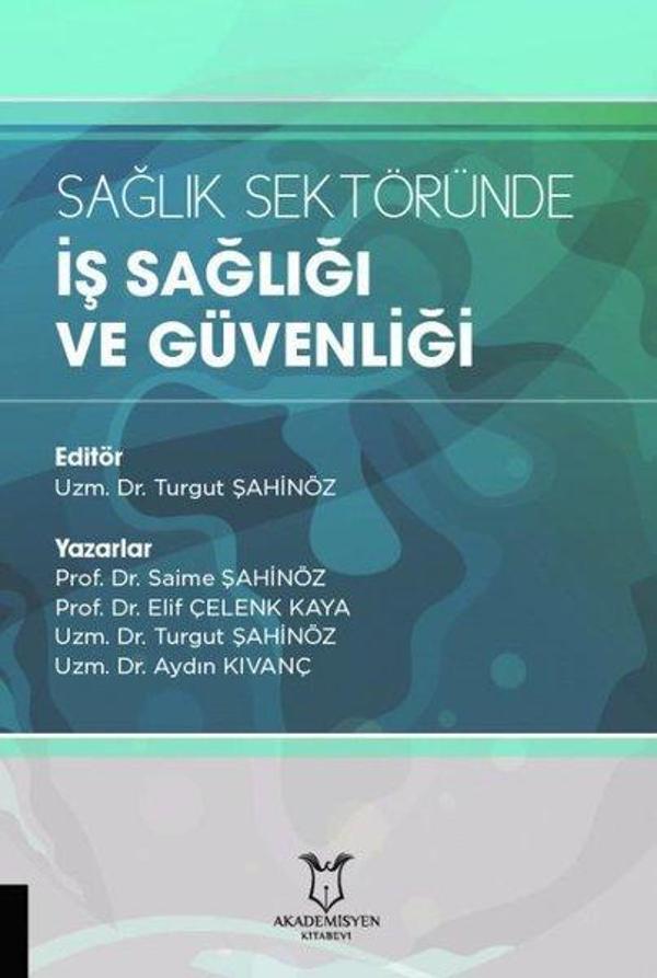 Sağlık Sektöründe İş Sağlığı ve Güvenliği - Akademisyen Kitabevi - Image 1