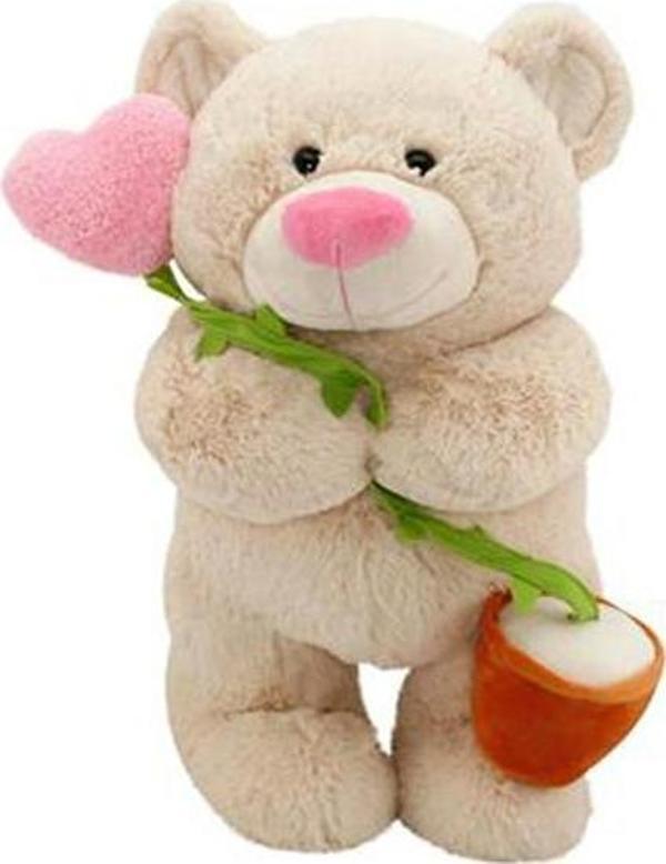 Neco Toys Kalp Çiçekli Ayi 40 Cm 520230 - Image 1