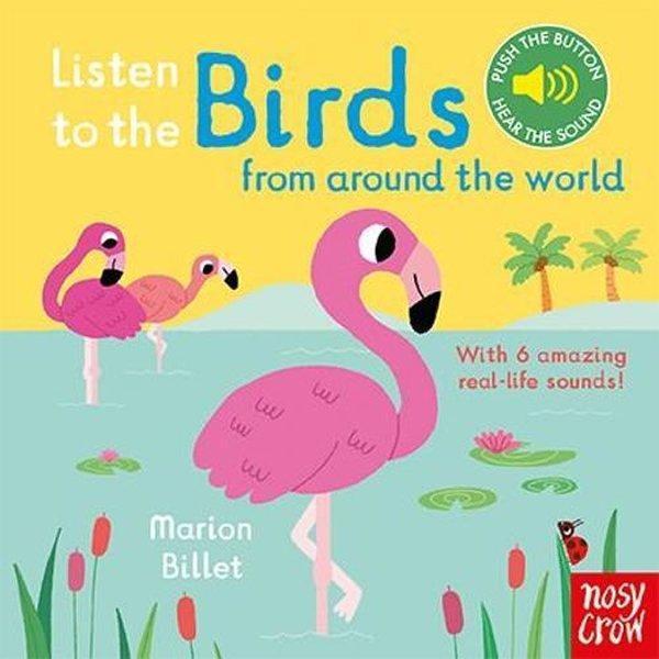 Listen to the Birds From Around the World - NOSY CROW - Image 1