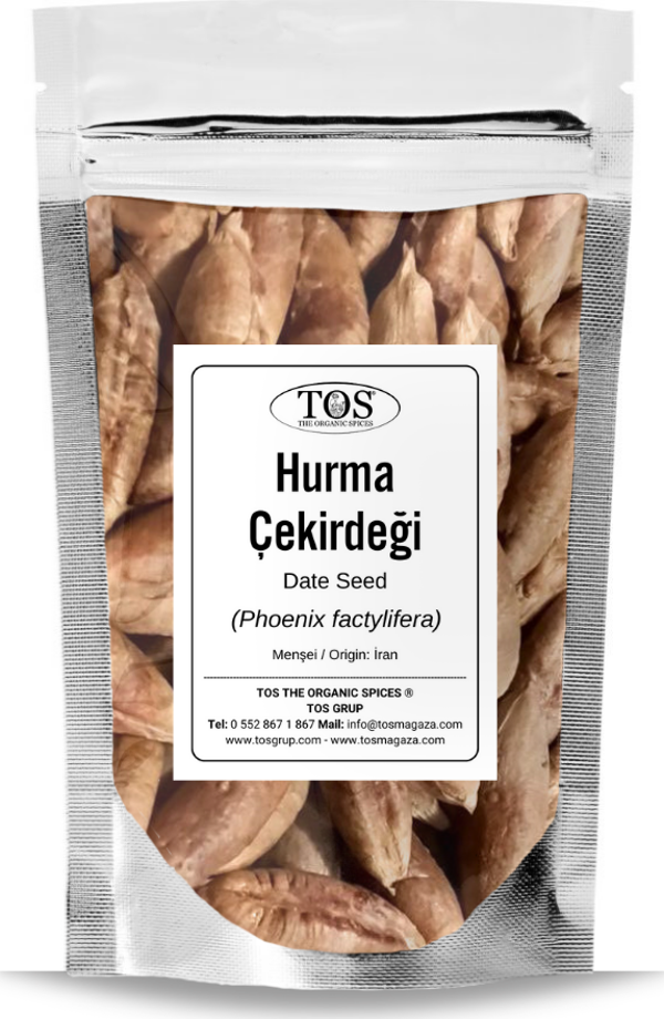 Hurma Çekirdeği 100 gr (1. Kalite) Phoenix factylifera / Date Seed, İran - Image 1