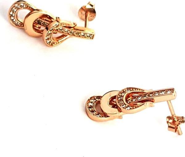 Pırlanta Işıltısında zirkon taş detaylı gümüş üzerine rose altın kaplamalı küpe - Image 1