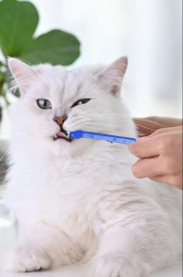 Pugalo Kedi Diş Fırçası 4'Lü - Image 1
