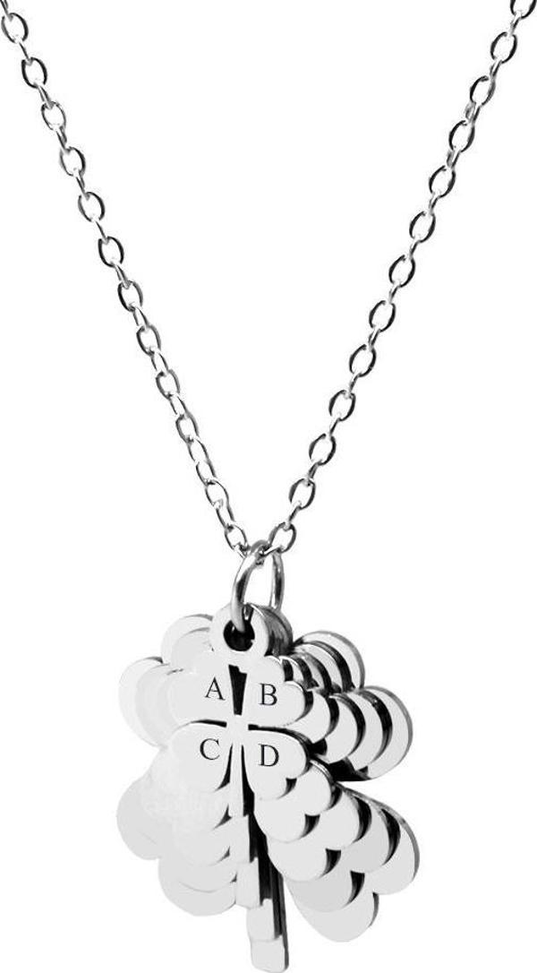 Silver Renk Yonca Yaprağı Tasarım Çekirdek Aile Temalı (En Fazla 5 Plaka - 5 isim) Kişiye Özel Çelik Kadın Kolye - Image 1