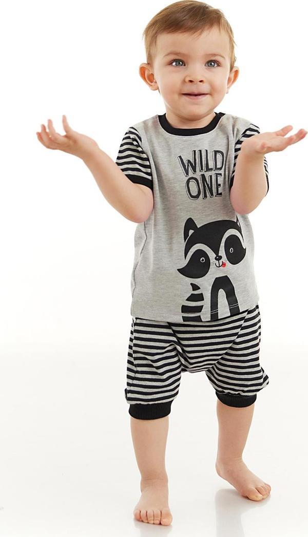 Rakun Erkek Bebek T-shirt Kapri Şort Takım - Image 1