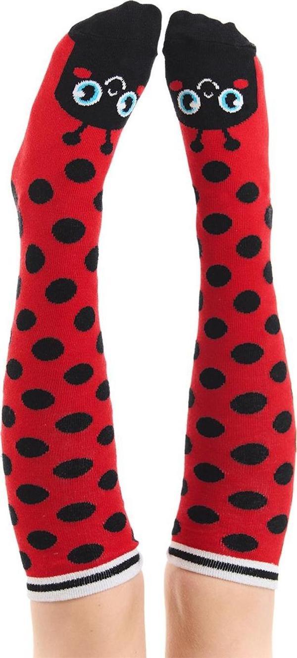 Uğurböceği Desenli Puanlı Kız Çocuk Dizüstü Çorap - Image 1