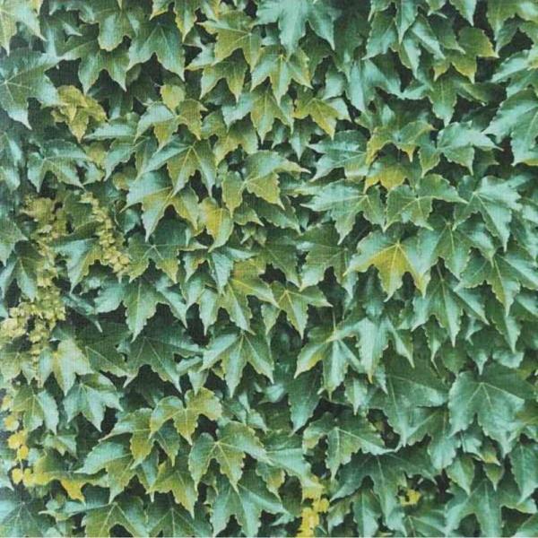 MİDA KORE DUVAR KAĞIDI 7023-2 (16,5m2) - Image 1