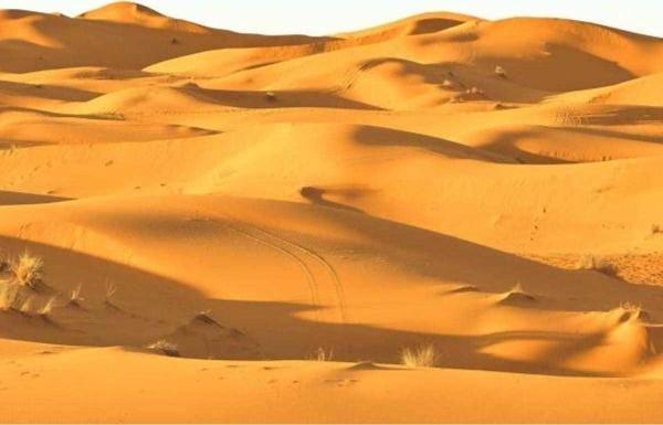 SAHARA NIGHTS FRANSIZ DUVAR KAĞIDI SK10048 (BORDÜR) (5m2) - Image 1