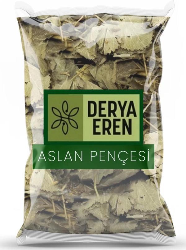 Aslan Pençesi Testere Dişli 250g - Image 1