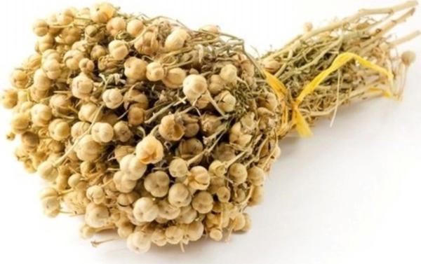 Üzerlik Otu Demet 1 Adet - Image 1