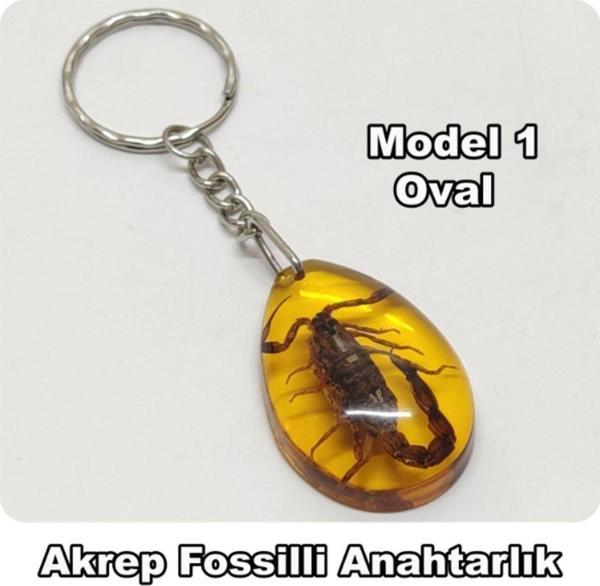 Akrep Fosilli - Toz Kehribar Anahtarlık - 4 Model - Image 1