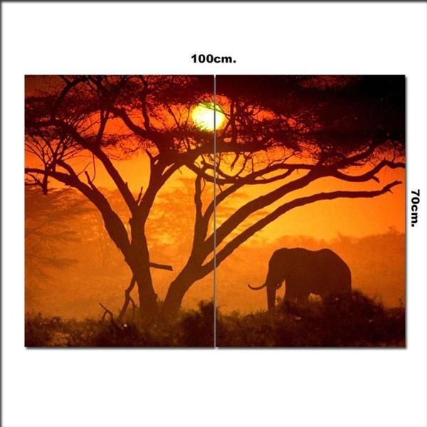 Bedeko Ahşap Tablo Afrika Ve Fil 70*100Cm - Image 1