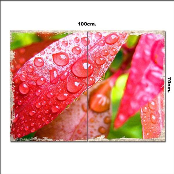 Bedeko Ahşap Tablo Kırmızı Çiçek Ve Damlalar 70*100Cm - Image 1