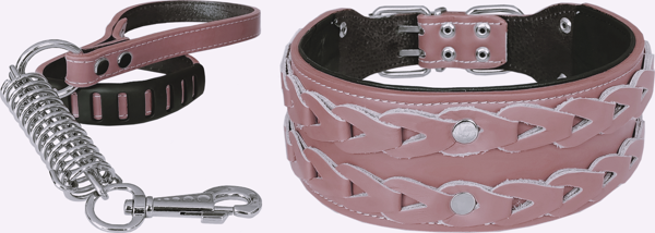 Markapet Elegance Deri İşlemeli Lüks Köpek Tasma Seti XL 7 cm*60-68 cm Pudra - Image 1