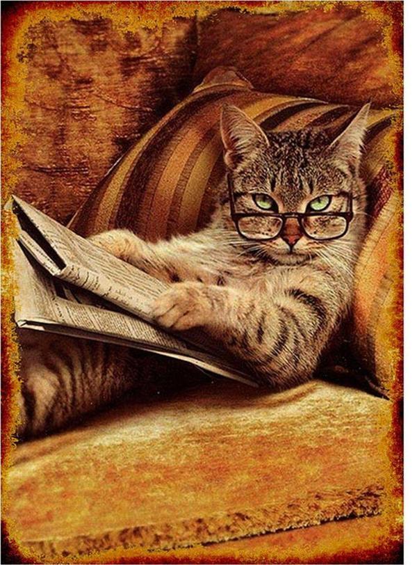 Bedeko Ahşap Tablo Gazete Okuyan Kedi - Image 1