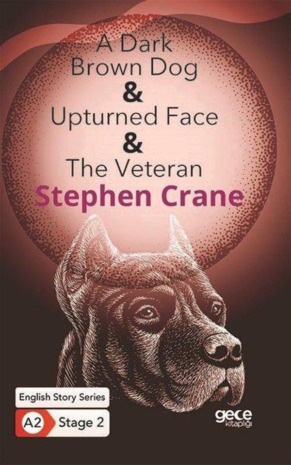 A Dark Brown Dog - Upturned Face - The Veteran - English Story Series - A2 Stage 2 - Gece Kitaplığı - Image 1