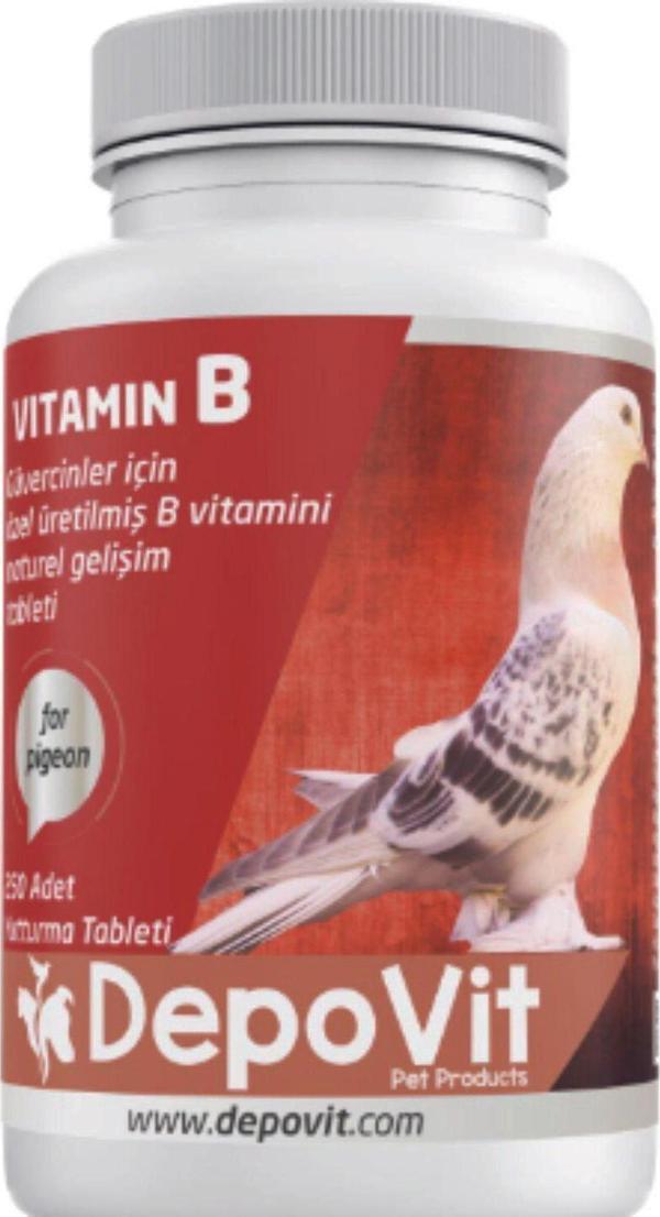 Depovit B Vitamin Kompleksi 250 Adet - Image 1