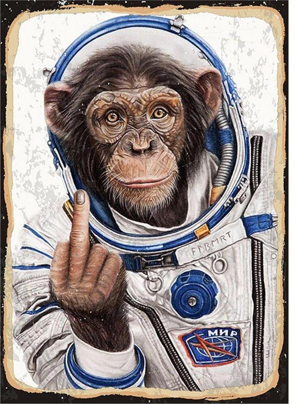 Bedeko Astronot Maymun Mdf Poster - Image 1