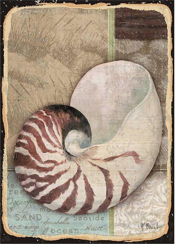 Bedeko Deniz Kabuğu Modern Mdf Tablo - Image 1