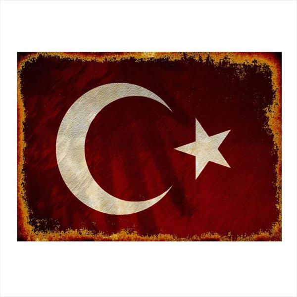 Bedeko Ahşap Tablo Göktürk Kurt Ve Türk Afiş - Image 1