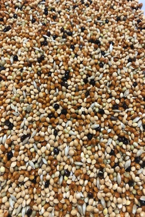 HOBİ Karışık Muhabbet Kuşu Yemi 5 Kg Yeni Mahsul - Image 1