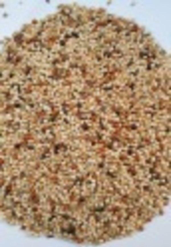 Katre Karışık Muhabbet Kuşu Yemi Süper Kalite Özel Paket 10 Kg - Image 1