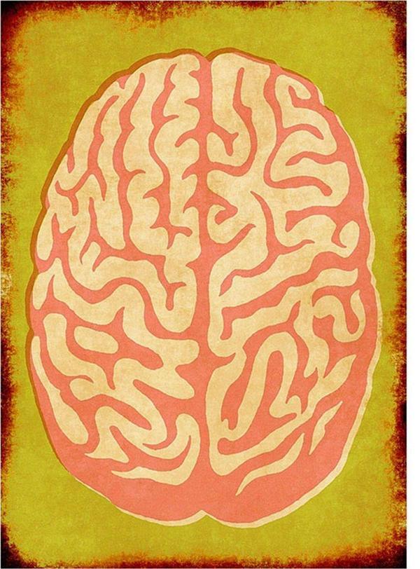 Bedeko İnsan Beyni Mdf Poster - Image 1
