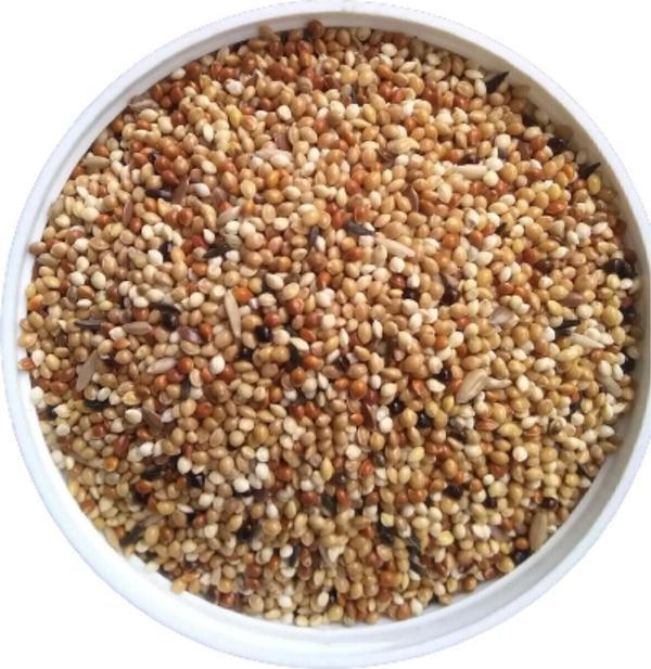 CP Yem Kılçıksız Lüks Karışık 25 kg Muhabbet Kuşu Yemi - Image 1