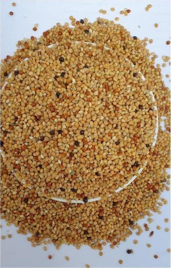 Malatya Yem Karışık Muhabbet Kuşu Yemi-25Kg - Image 1