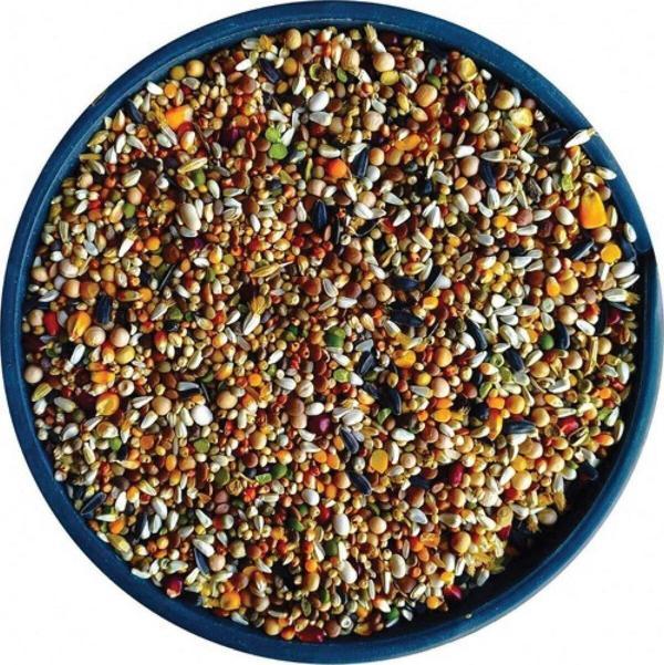 Malatya Yem Özel Buğdaysız Lüks Karışık Güvercin Yemi 10 Kg (11 Çeşit Yem) - Image 1
