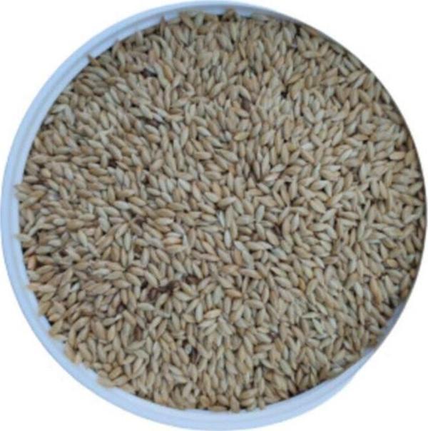 Malatya Yem Sade Kanarya Yemi-Aspur-20Kg - Image 1