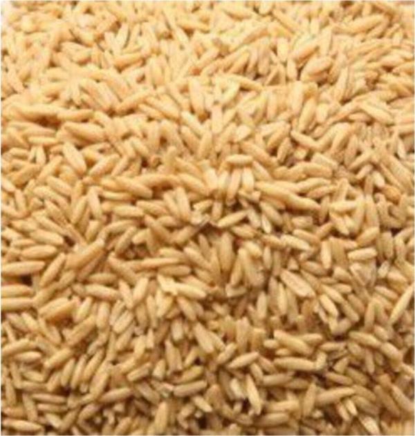 Malatya Yem Soyulmuş Yulaf 1Kg - Image 1