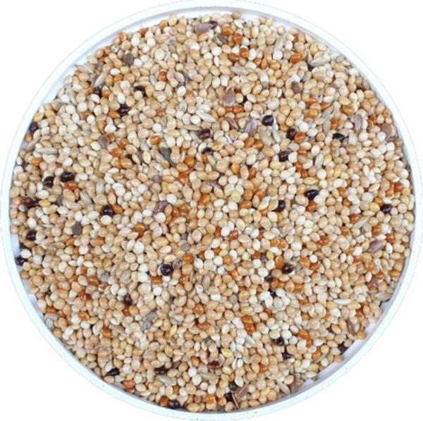 Vivid Bird Vivid Özel Üretici Muhabbet Kuşu Yemi-25Kg - Image 1