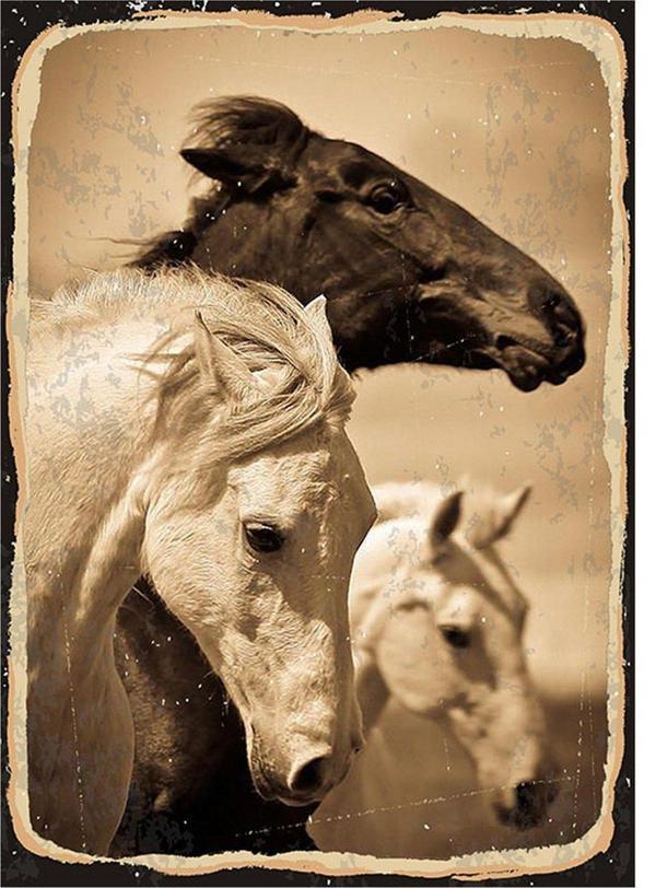 Bedeko Üç At Art Mdf Poster - Image 1