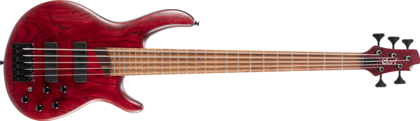 B5 ELEMENT OPBR BAS GİTAR, 5 TELLİ OPEN PORE BURGUNDY RED - Image 1