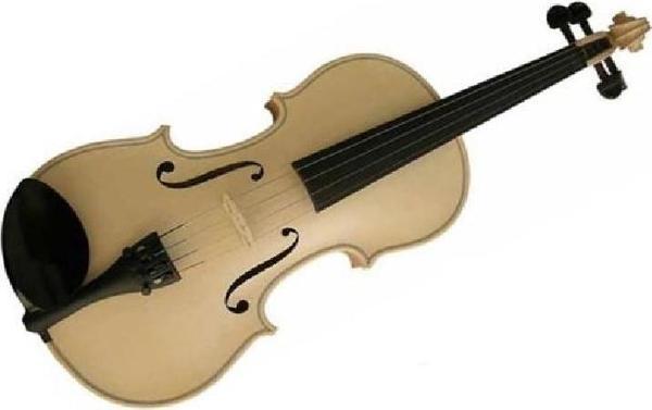 V4 VİOLA HAM 40CM. 15.5 BEZ KUTULU+YAY+REÇİNE: V4 - Image 1