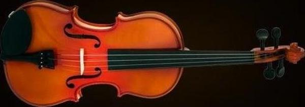 VA400 VİOLA KUTULU 15.5" (39,37cm) - Image 1