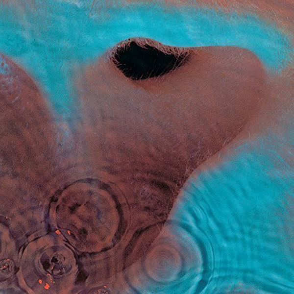 Meddle (2016 Edition) Plak - Image 1
