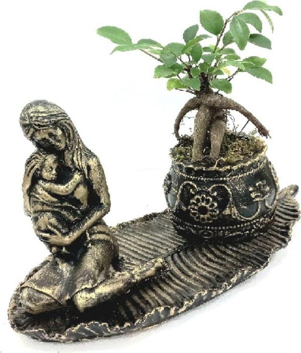 D'S Anne Çocuk Figürlü Ficus Ging Seng Bonsai - Image 1