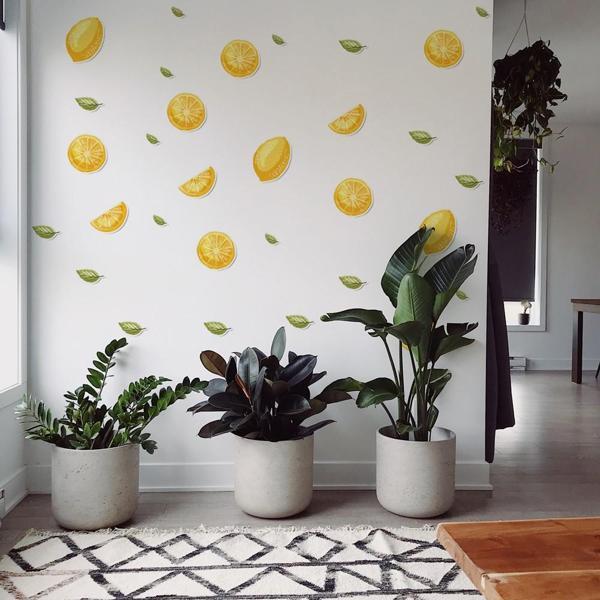 Limon ve Yapraklar İlüstrasyon Duvar Stickerı - Image 1