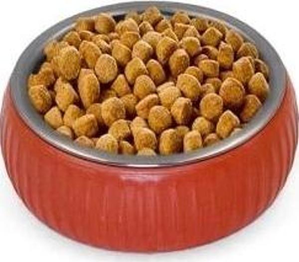 Mikopet Organik Seramik Mama Kabı Kiremit - Image 1