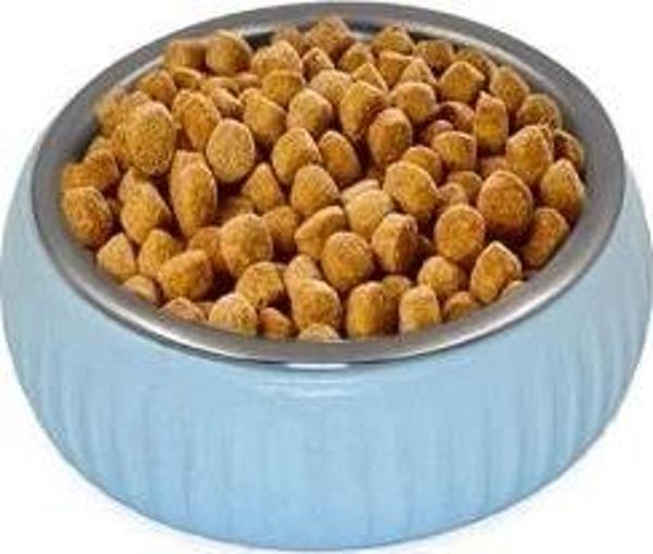 Mikopet Organik Seramik Mama Kabı Mavi - Image 1