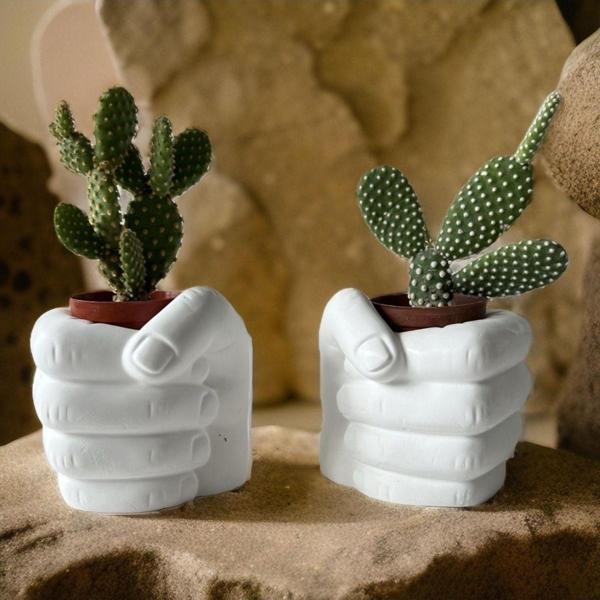 Mes Reves Design Sukulentler Ve Kalın Mumlar İçin El Şeklinde Özel Tasarım Dekoratif Bitki Saksıları, Ev Dekoru - Image 1