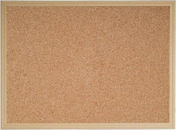 Parrot Mantar Pano 30X40 Cm Ahşap Çerçeve - Image 1