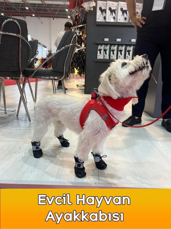 Köpek Ayakkabısı Yumuşak Kaydırmaz Su Geçirmez Taban Fermuarlı & Ayarlanabilir Eğitim Ayakkabısı - Image 1