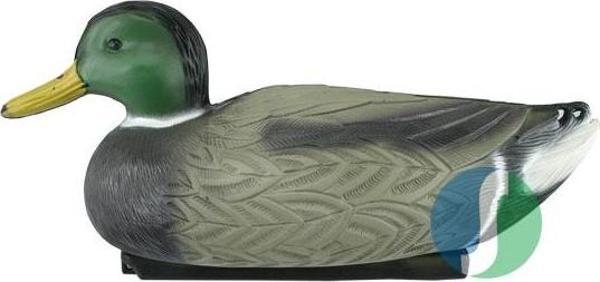HD 007 Yeşil Baş Erkek Ördek (Büyük) - Image 1