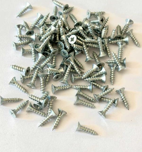 Sunta vidası 3x13 mm 1000 adet nikel renk - Image 1